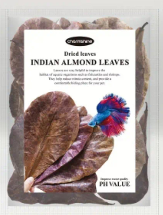 Indian Almond Leaves