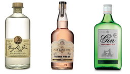 Gin