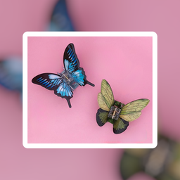 Butterfly Claw Clip