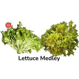 Lettuce Medley - 300g