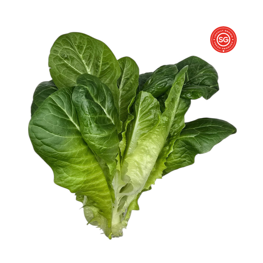Cos Lettuce - 250g