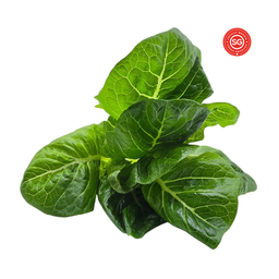 Cos Lettuce - 250g