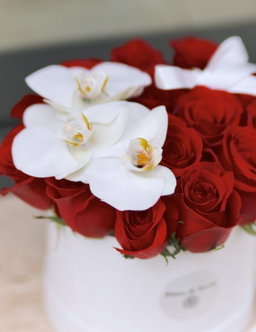 Orchid Red Box 