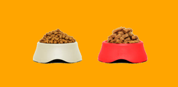 PET CARE