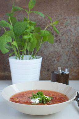 Cream of Vegetable Soup