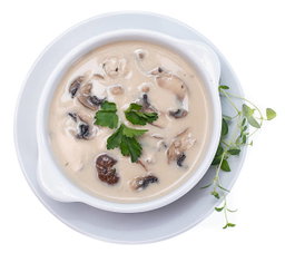 Cream of Mushroom Soup