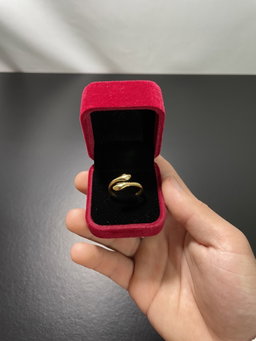 Anillo Abrazo
