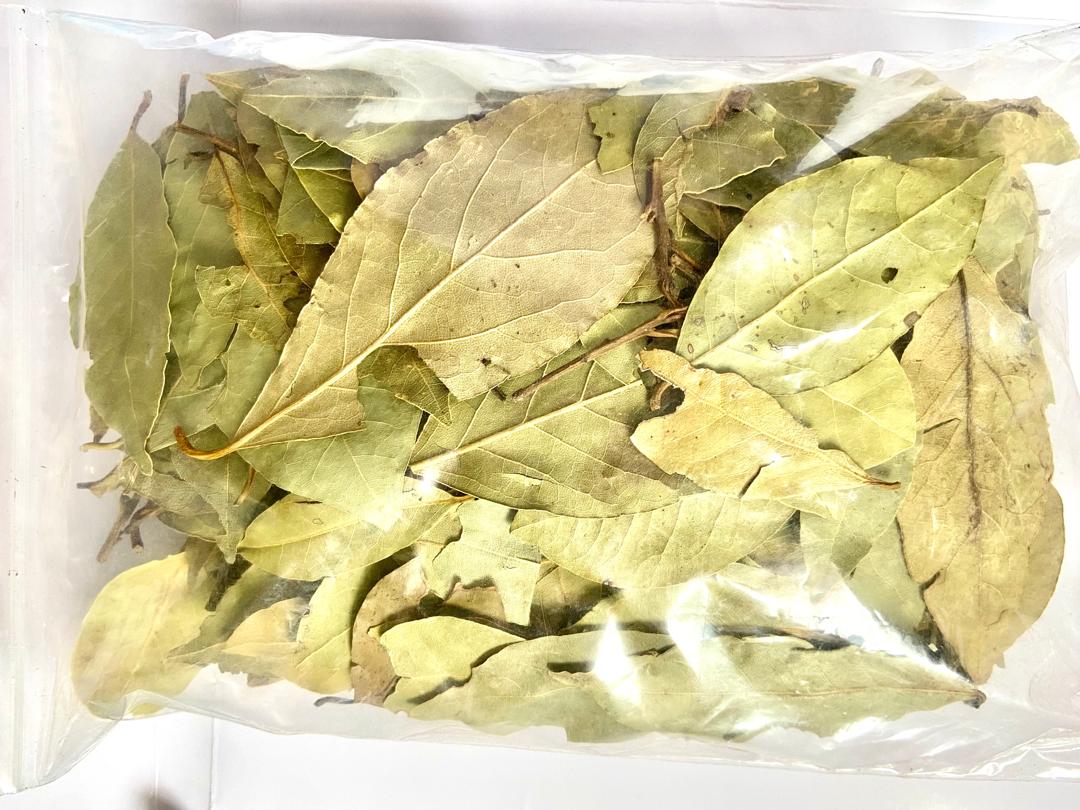 Feuilles de laurier_0