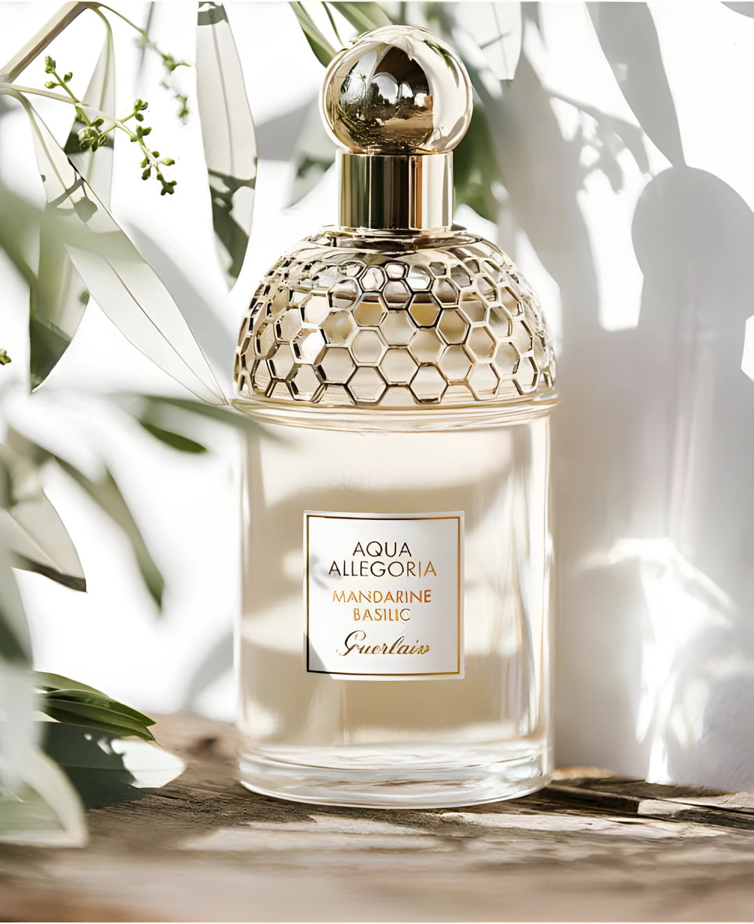 Guerlain Aqua Allegoria Mandarine Basilic Edt 75ml Perfume