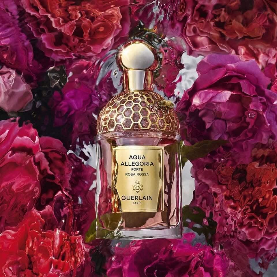 Guerlain Aqua Allegoria Forte Rosa Rossa Edp 75ml Perfume_0