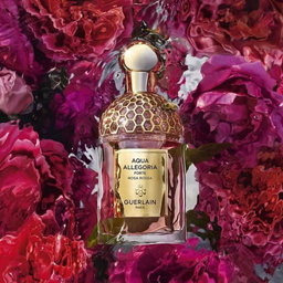 Guerlain Aqua Allegoria Forte Rosa Rossa Edp 75ml Perfume