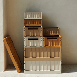 Storage organizer - large