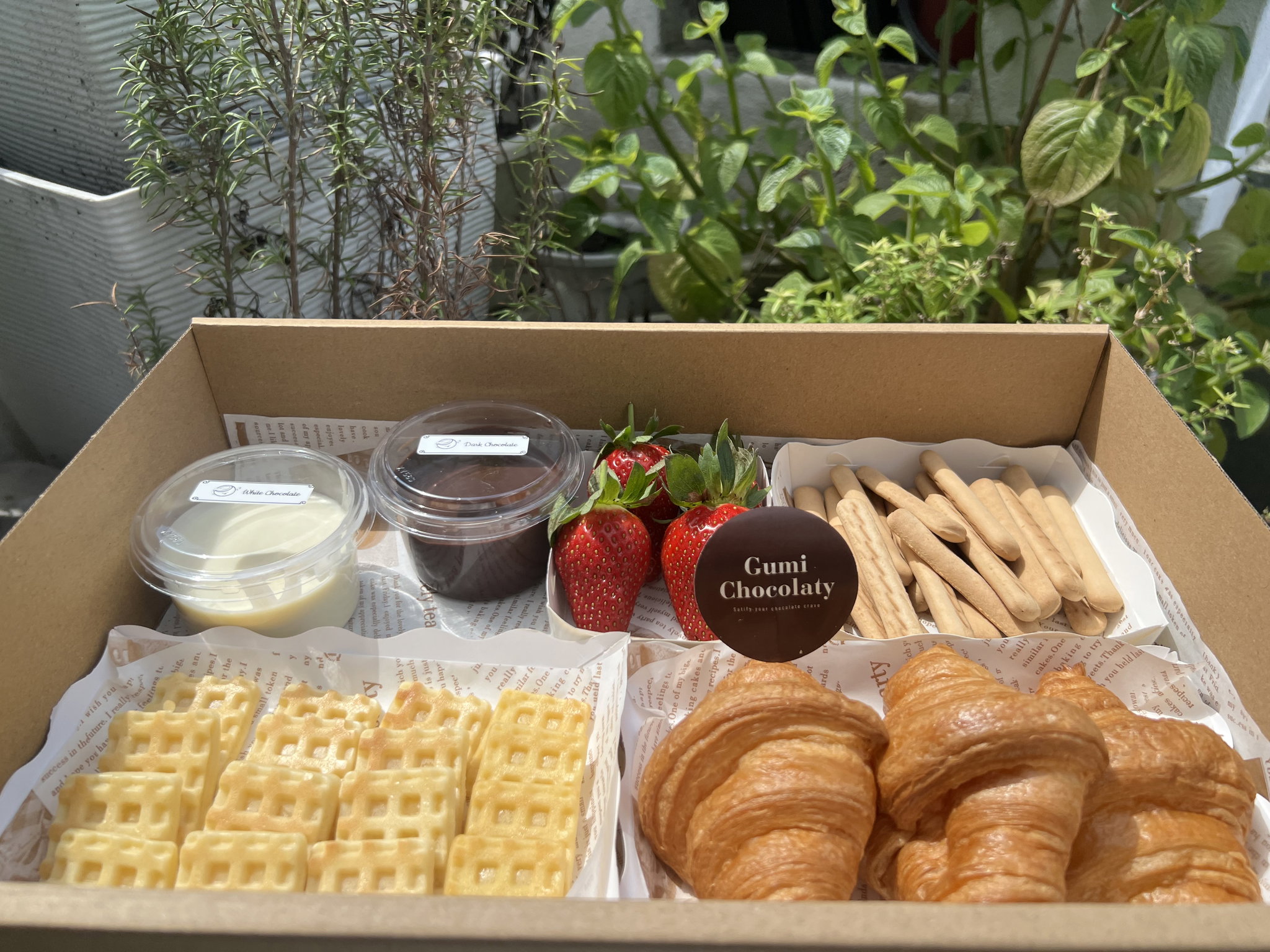 Medium Snack Treats Box_0
