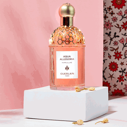 Guerlain Aqua Allegoria Pamplelune Edt 75ml Perfume 