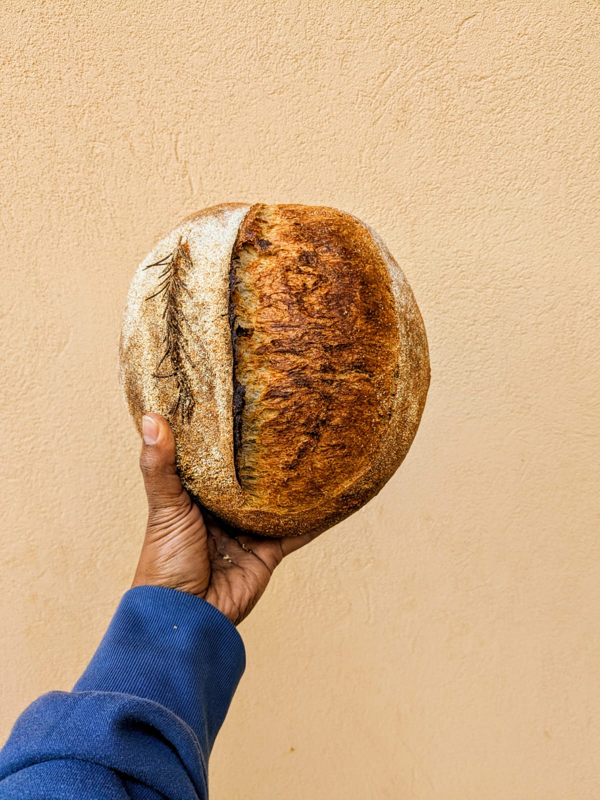 Olive Oil Rustic Sourdough_1