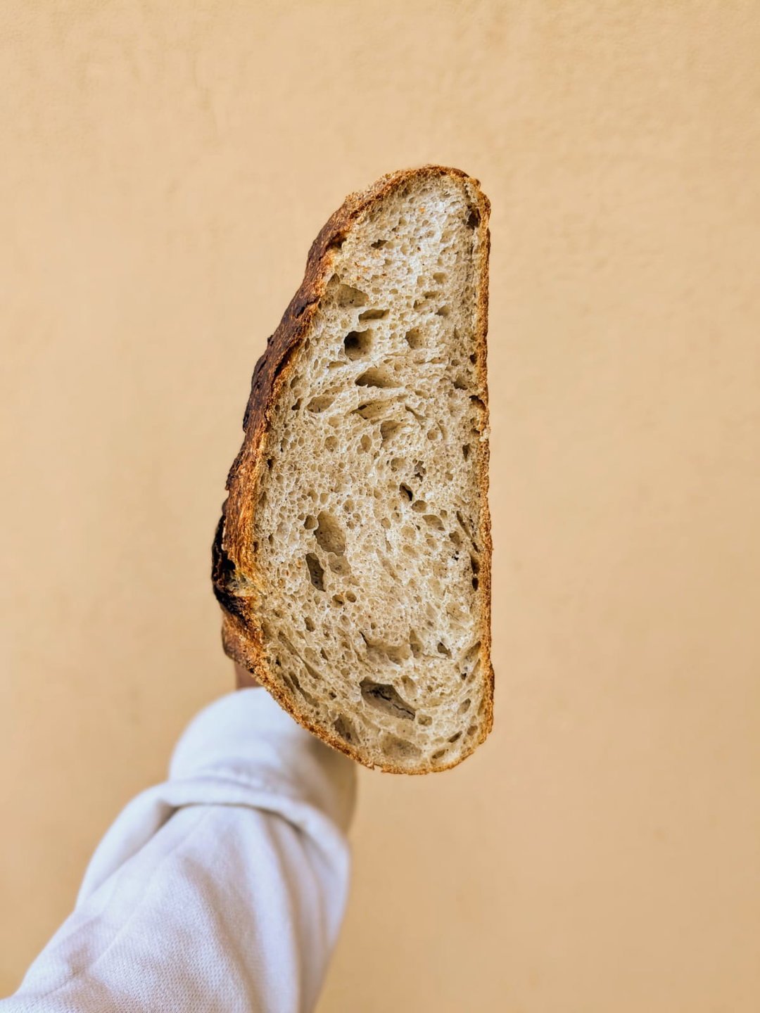 Olive Oil Rustic Sourdough