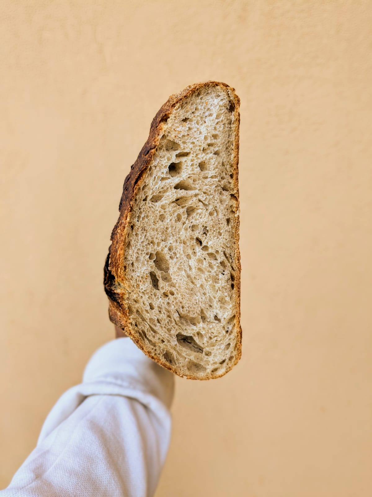 Olive Oil Rustic Sourdough