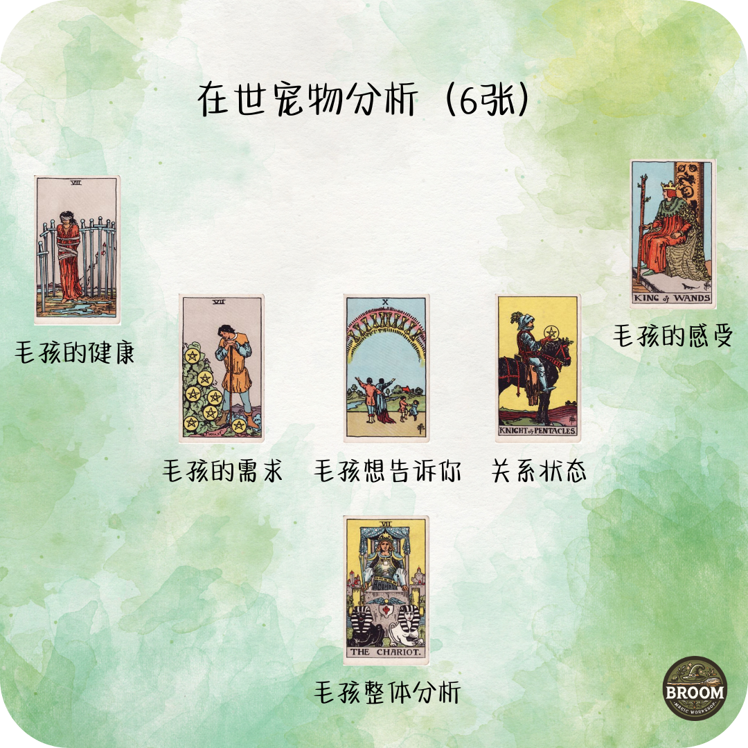 6张牌阵 （在世宠物分析）_0