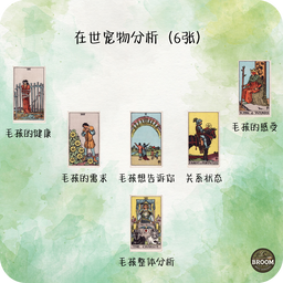 6张牌阵 （在世宠物分析）