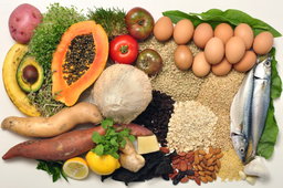 🍲Health Food