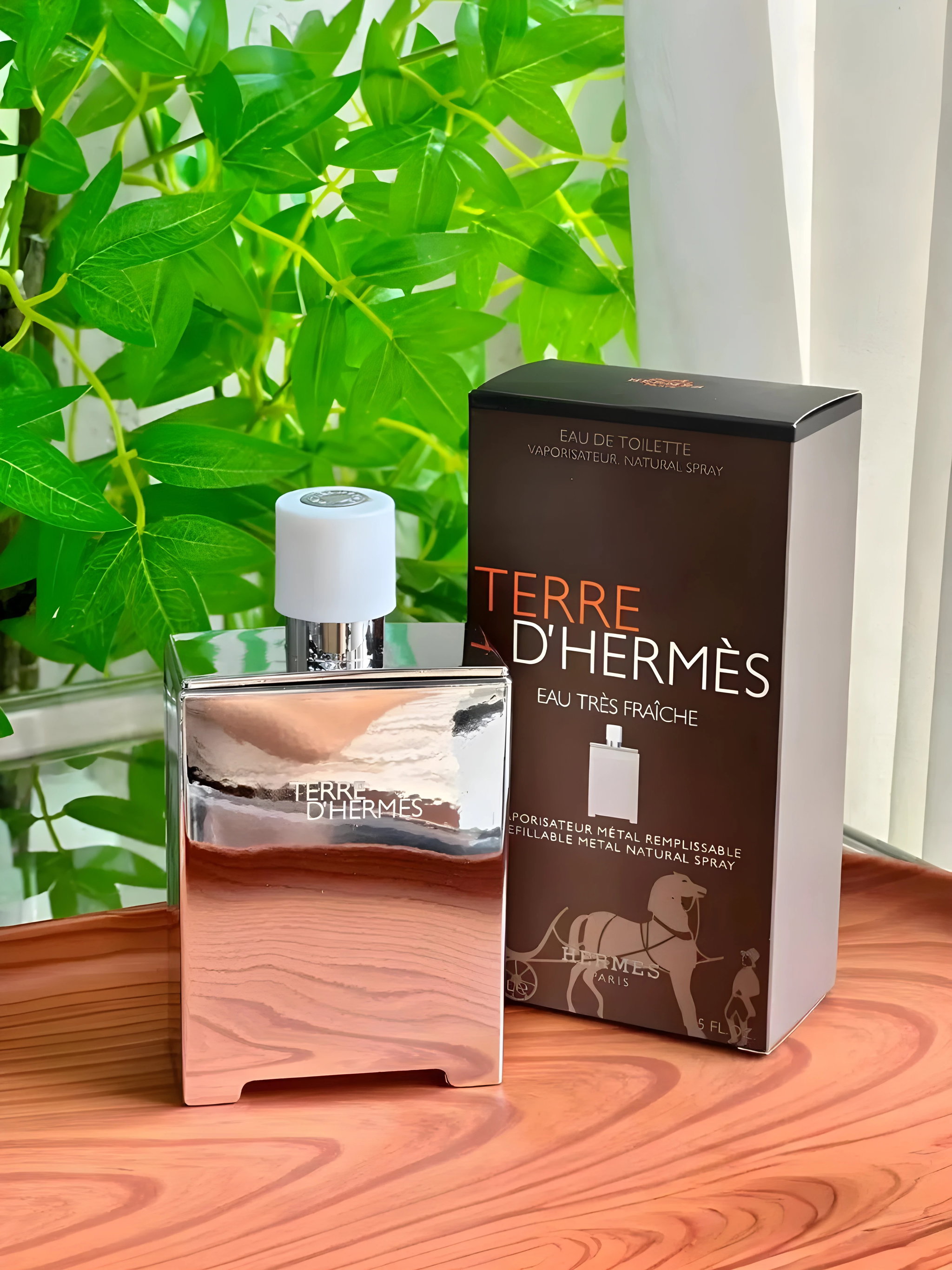 Hermes Terre d'Hermes Eau Tres Fraiche 100ml Perfume _0