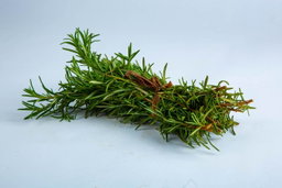 Herbs and spices