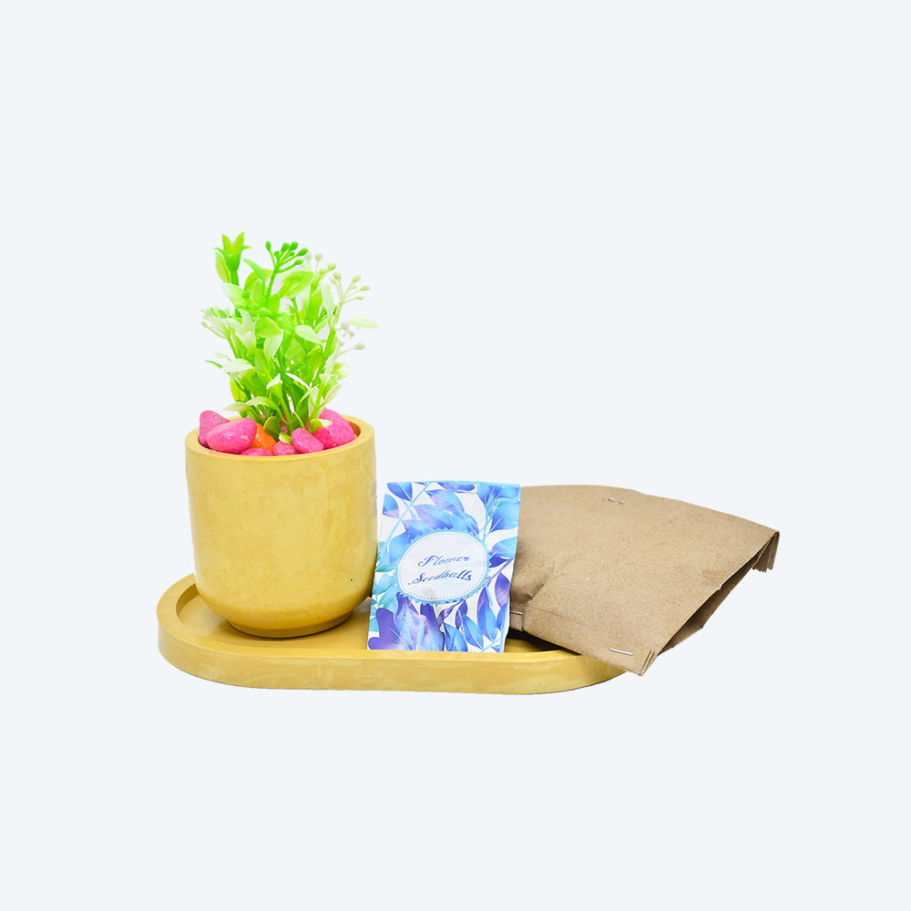 Buffindia EcoBloom Oval DIY Planter Kit_1