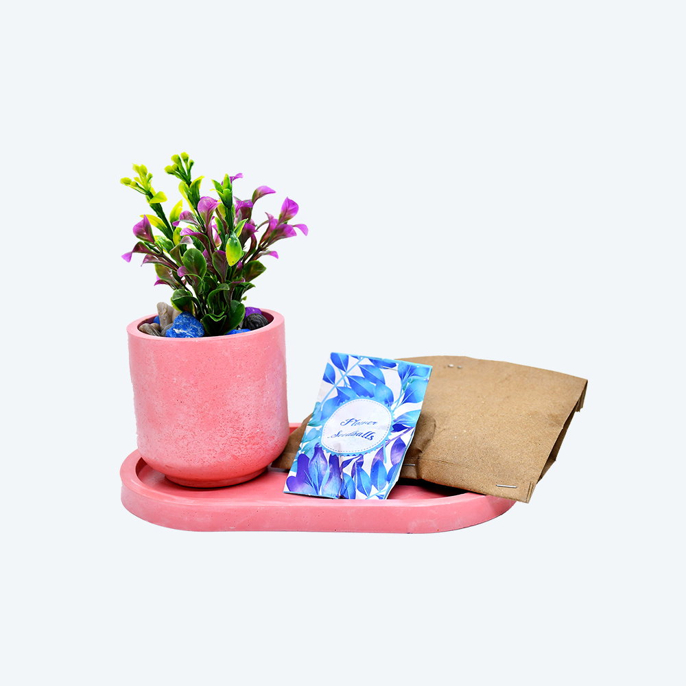 Buffindia EcoBloom Oval DIY Planter Kit_3