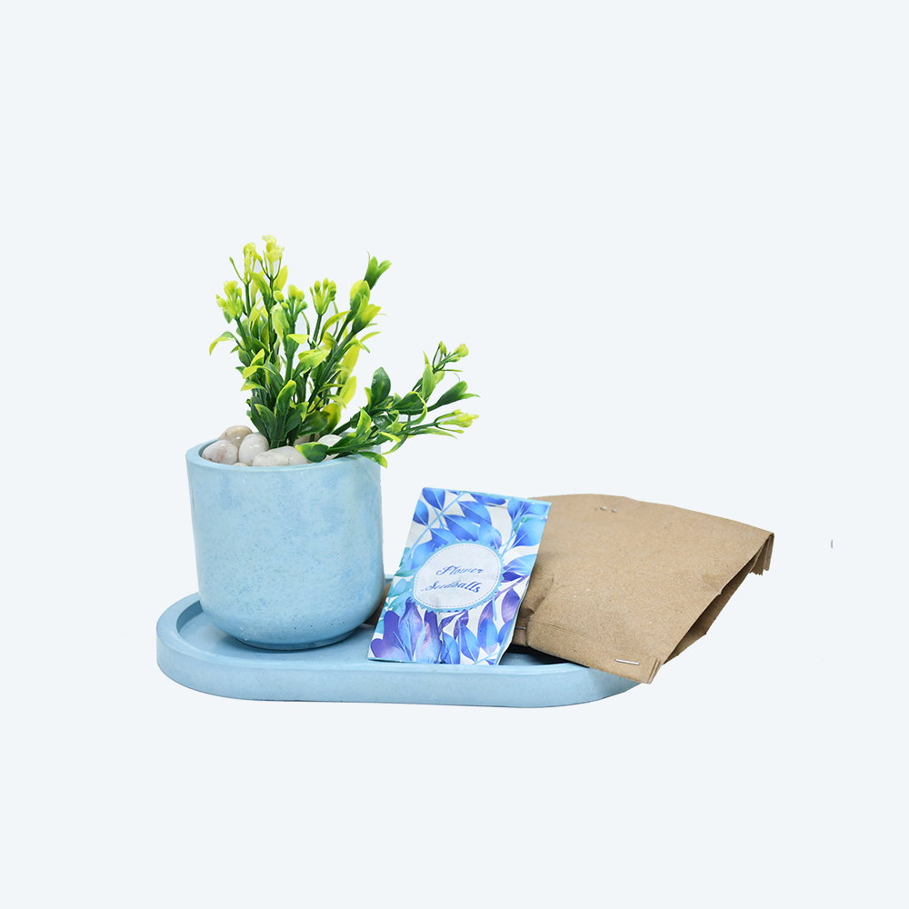 Buffindia EcoBloom Oval DIY Planter Kit_2
