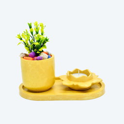 Petal Harmony Candle and Planter Kit (Oval Tray)