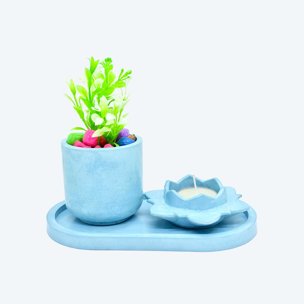 Petal Harmony Candle and Planter Kit (Oval Tray)_3