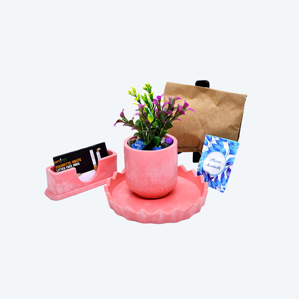 Flourish & Organize Kit [DIY Planter Kit (Round) and Visiting Card Holder]