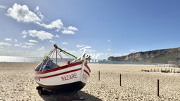 Lisbon: To Porto / Porto: To Lisbon. Day Trip & Drop-off, with Stops in 3 Cities.