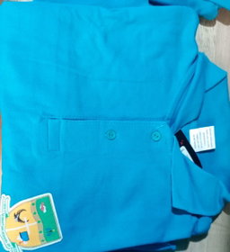 Teal polo 