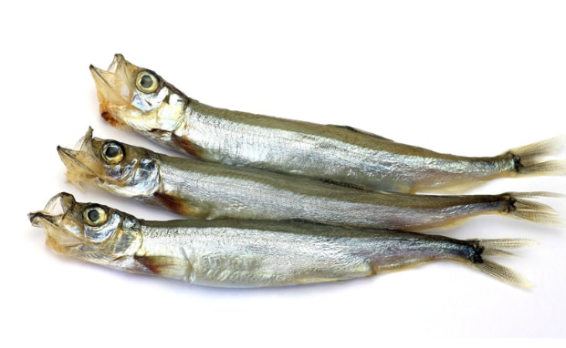 Shishamo (120g)