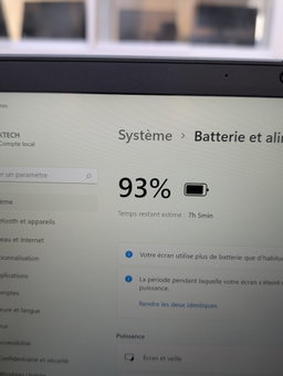 Lenovo ThinkPad T495 - Laptop Professionnel Ultra Slim