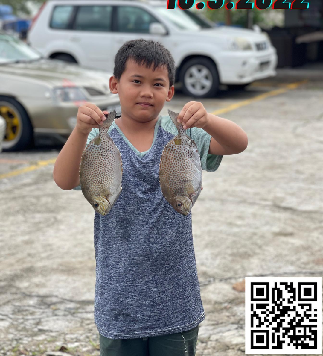 PANCING RAKIT BUDAK