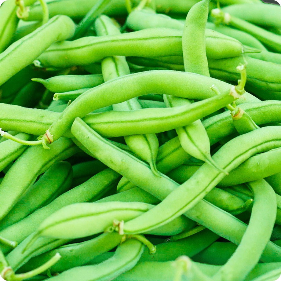 Beans (500g)