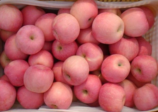 Fuji apple best quality (1kg)