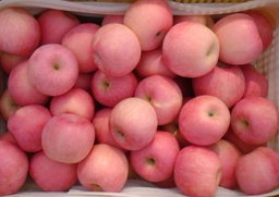 Fuji apple best quality (1kg)