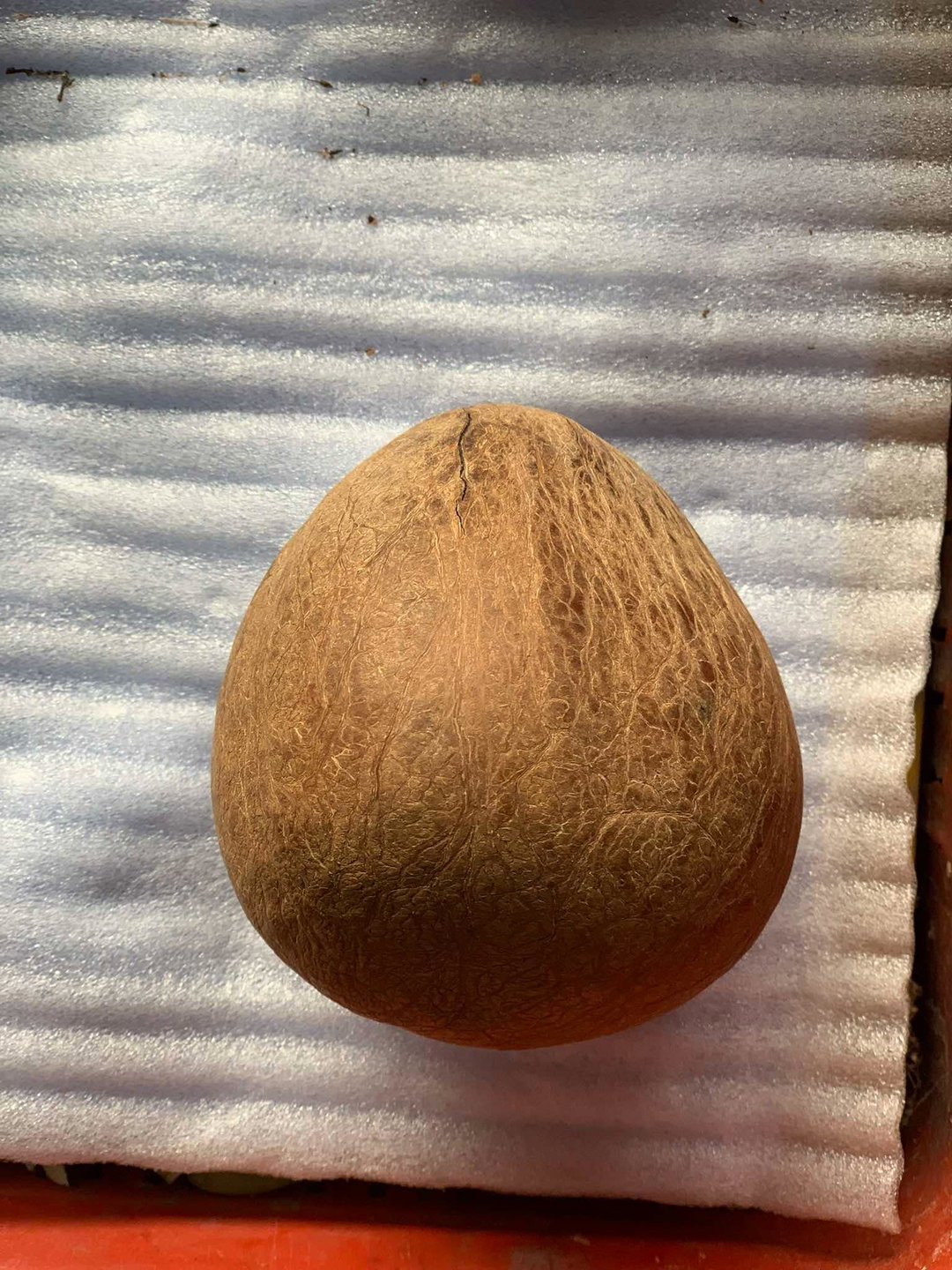 Dry coconut (500g)