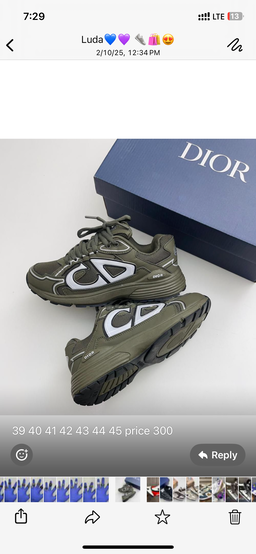 Dior B30 sneaker 