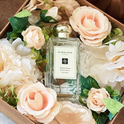 Jo Malone Wood Sage & Sea Salt Cologne 100ml Perfume 