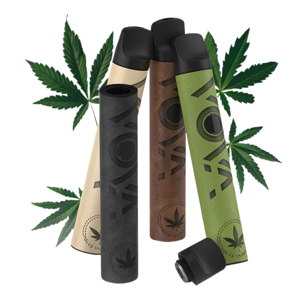 Vova Volks Dry Herb Vaporizer