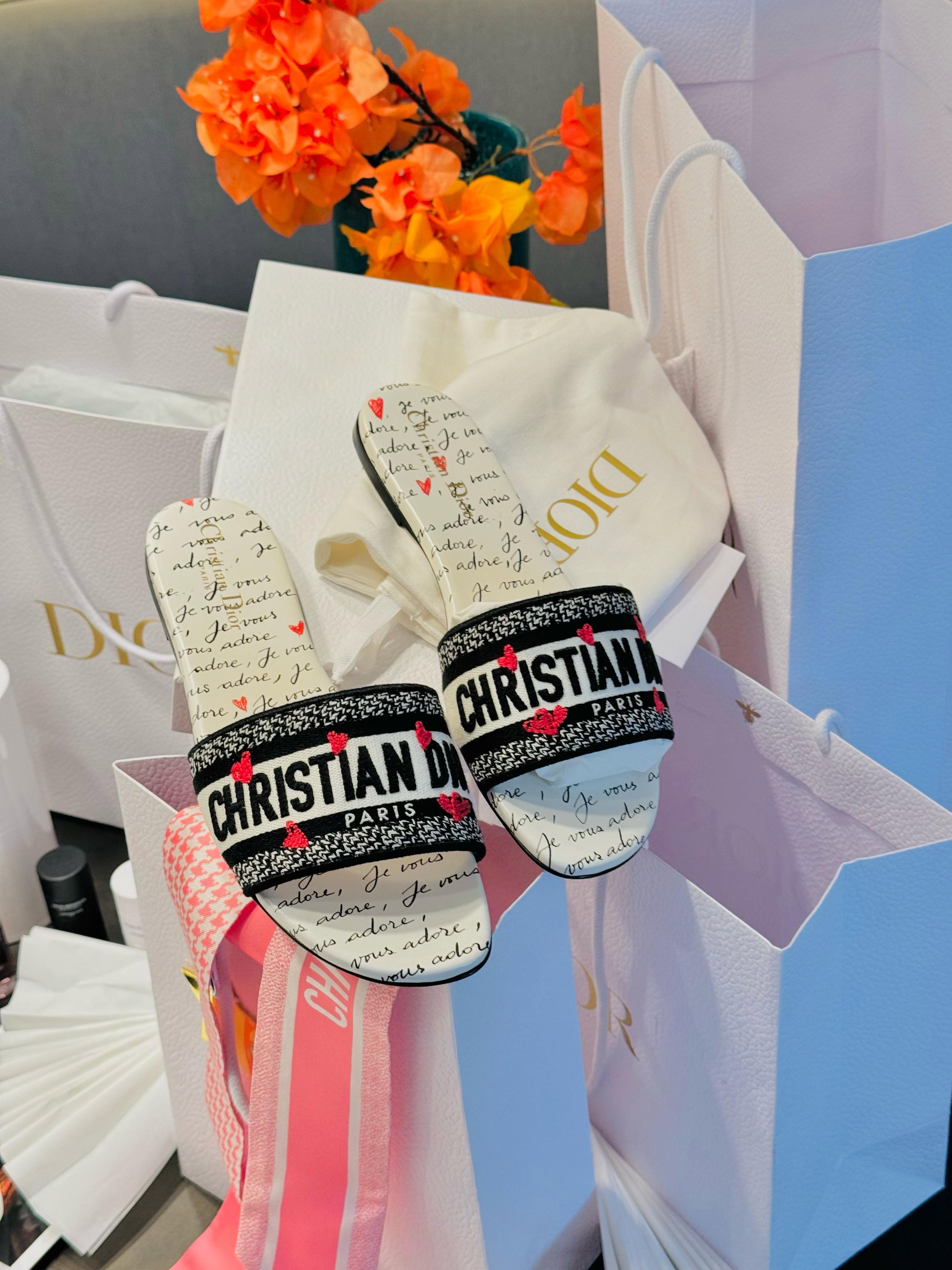 Chinelos dway - Dior _9