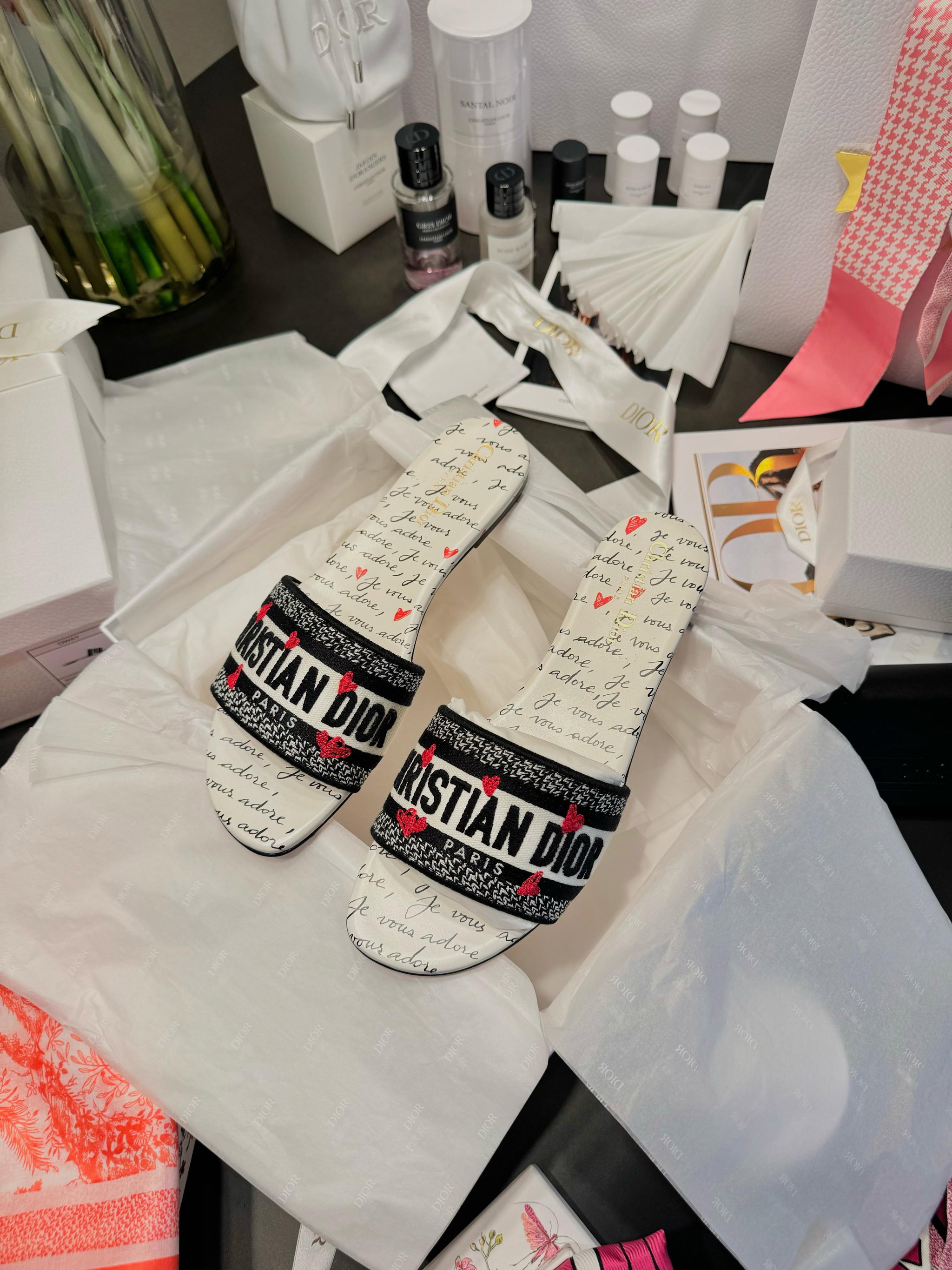Chinelos dway - Dior _3