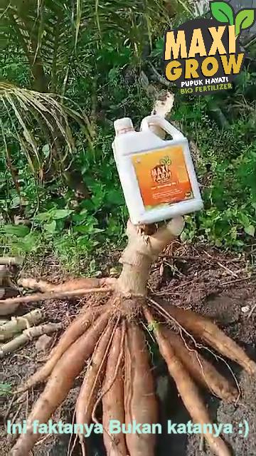 Pupuk hayati maxifarm 1 Liter_4