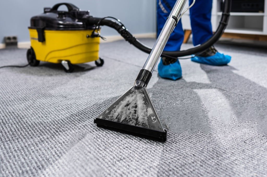 Carpet _0