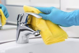 Home cleaning 