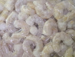 🦐 Frozen Vannamei Peeled Shrimp (Shell-Off) 🦐